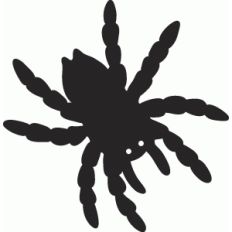 creepy spider