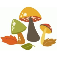 mushroom set
