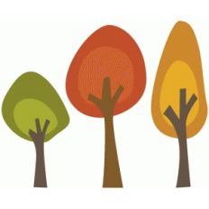 fall trees