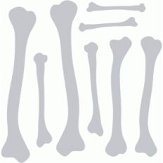 bones