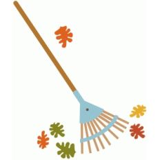 rake