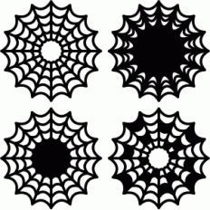 spider webs