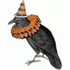 raven vintage party crow