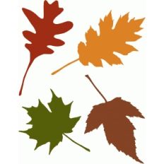 autumn leaves