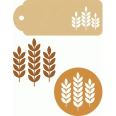 autumn wheat