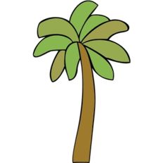 palm tree