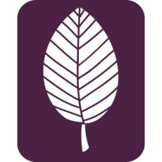 leaf journaling card