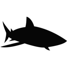shark