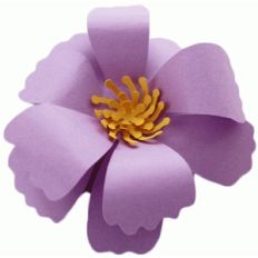 3d cosmo flower