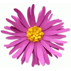 3d aster flower