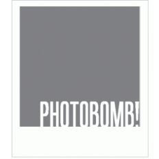 photobomb polaroid frame