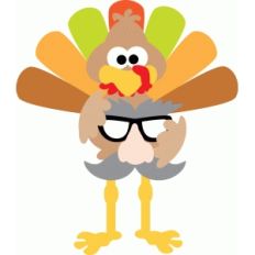 turkey with disguise