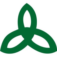 celtic knot 1