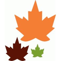 fall leaf