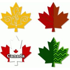 four maple leaves assortment