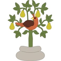 partridge in a pear tree