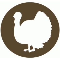 turkey disk
