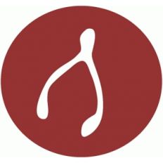 wishbone disk
