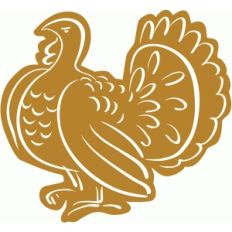 turkey