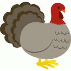 turkey
