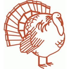 turkey