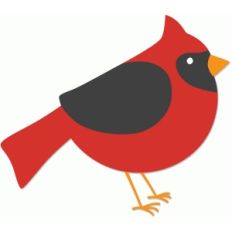 cardinal bird