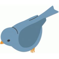 curious bird