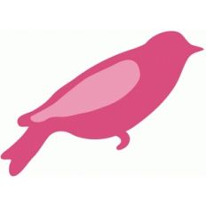 sweet sparrow