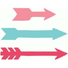 echo park arrows
