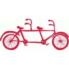 echo park bike
