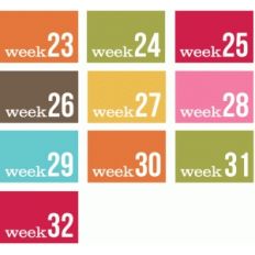 weeks 23-32