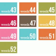 weeks 43-52