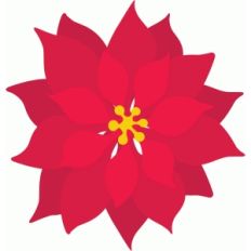 flor de pascua