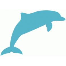 dolphin