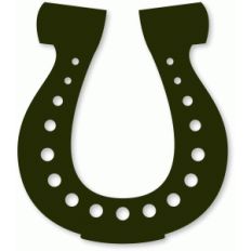 lucky horseshoe