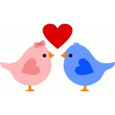 love birds
