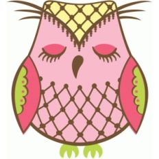 owl with beaded net design