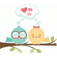 bird love
