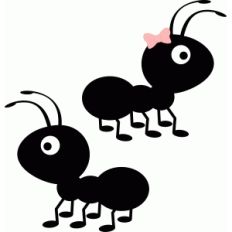 cute ants