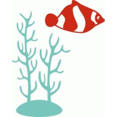 fish and alga