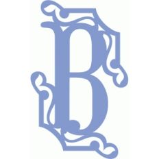 fancy b
