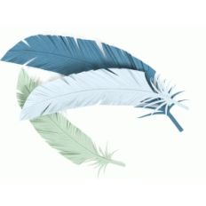 feathers