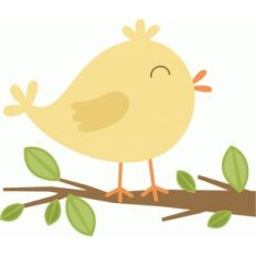 spring bird
