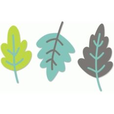 leaves