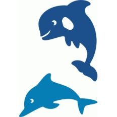 orca whale and dolphin