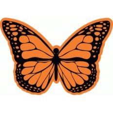 monarch butterfly