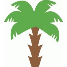 palm tree