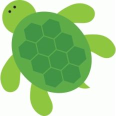 sea turtle