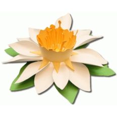 3d spring flower