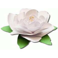 3d gardenia flower